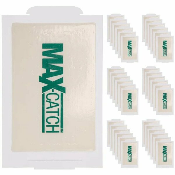 Catchmaster Max-Catch Glue Board For Spiders, Mice, and Crawling Insects, 5.25 in W x 8.5 in H, 72 PK 72MAX